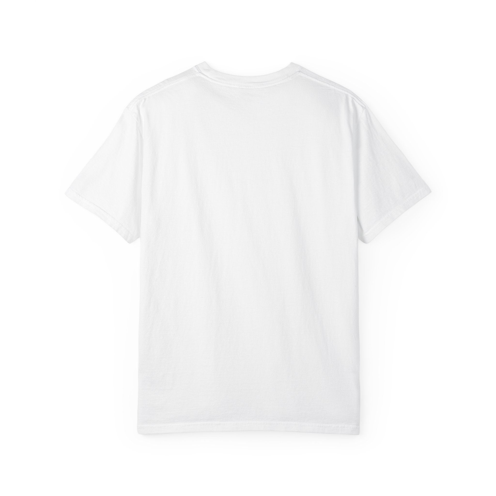 Don’t Move to Chicago Skyline T-Shirt — Funny Chicago City Tee
